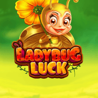 Ladybug Luck icon